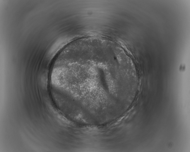 X0000091980194200709271434