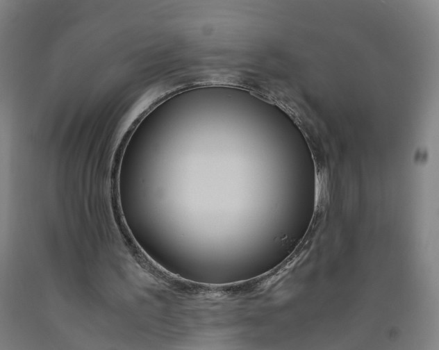 X0000091980195200709271434