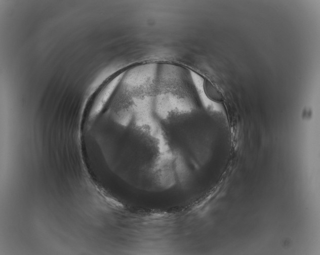 X0000091980196200709271434