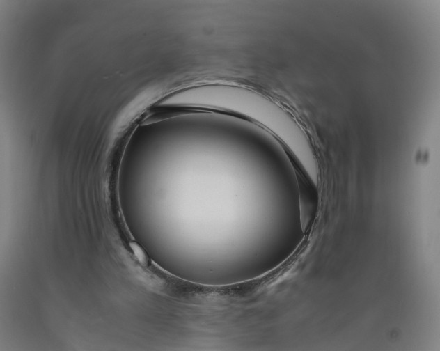 X0000091980197200709271434