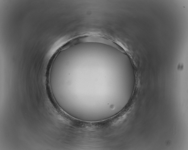 X0000091980199200709271434