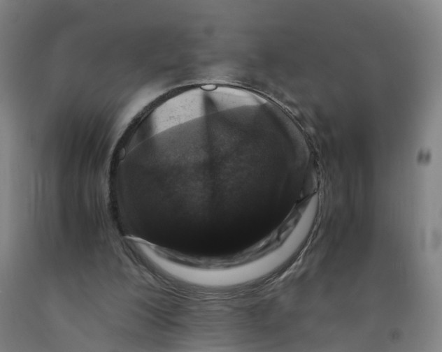 X0000091980200200709271434