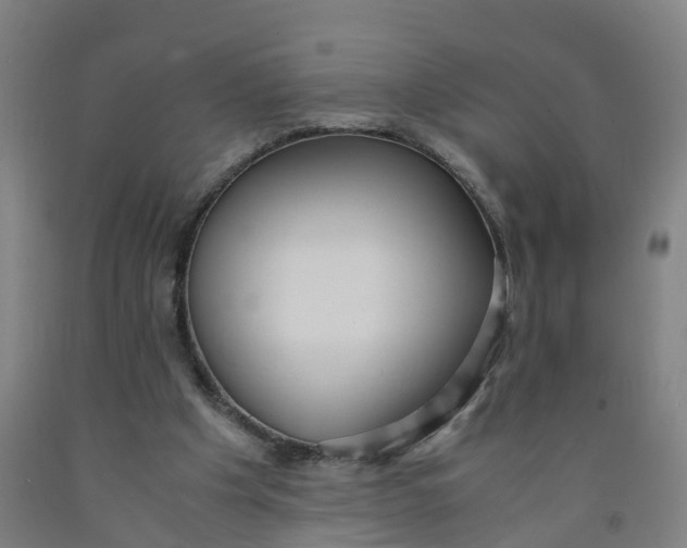 X0000091980201200709271434