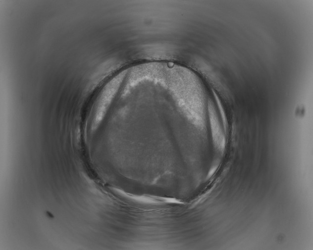 X0000091980202200709271434