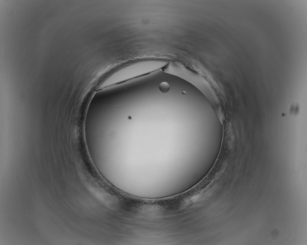 X0000091980203200709271434