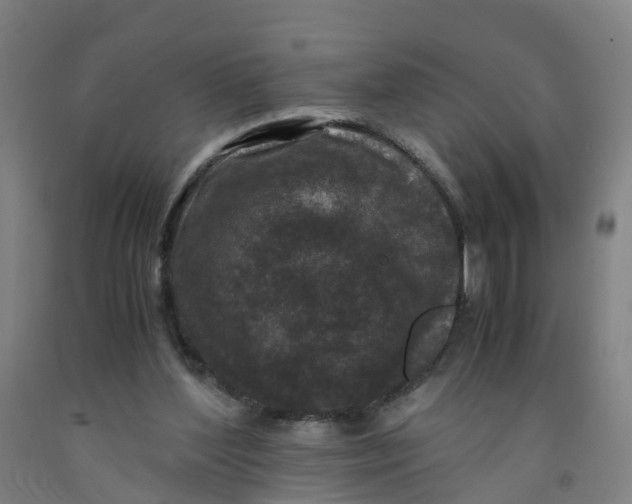 X0000091980204200709271434