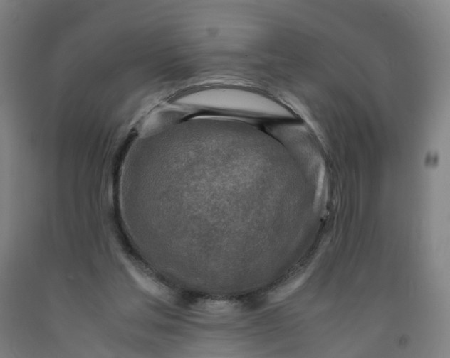 X0000091980205200709271434