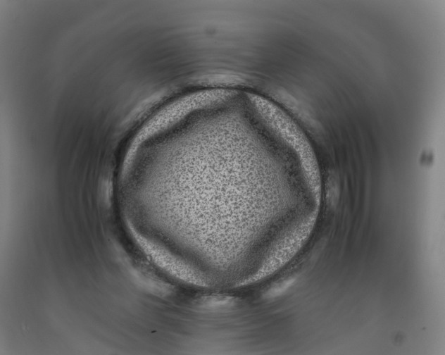 X0000091980206200709271434