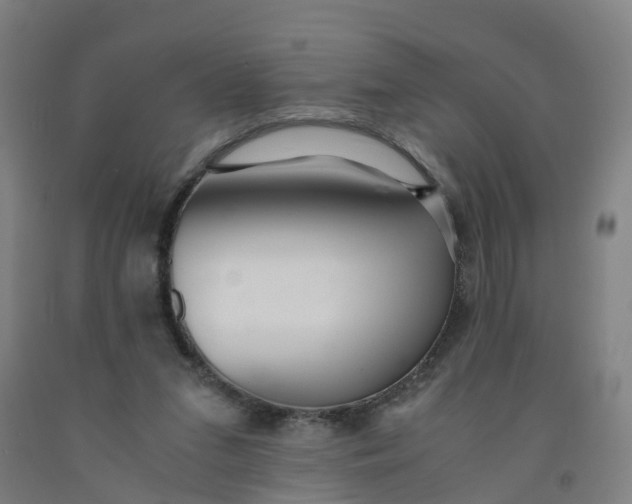 X0000091980207200709271434