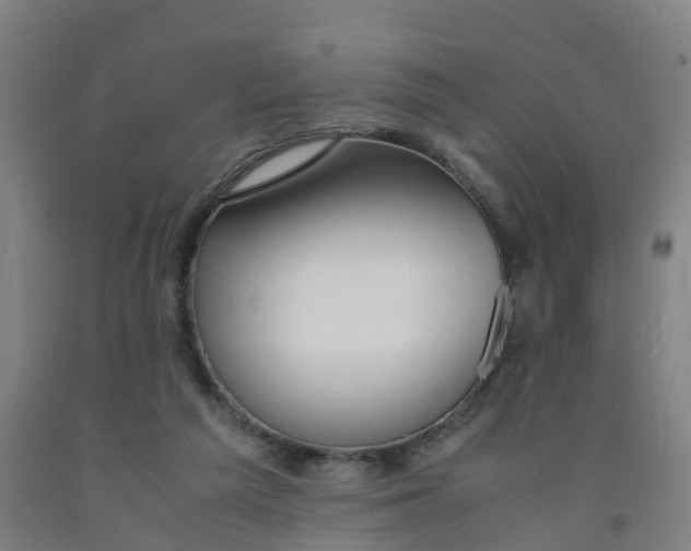 X0000091980209200709271434