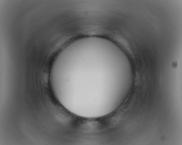 X0000091980210200709271434