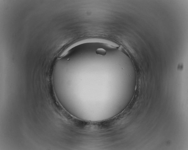 X0000091980211200709271434