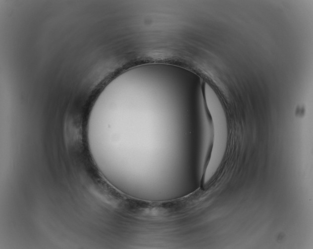 X0000091980212200709271434