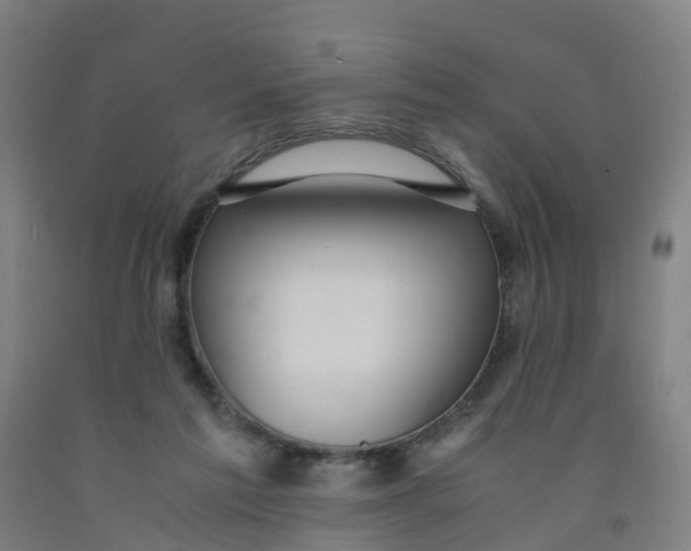 X0000091980213200709271434