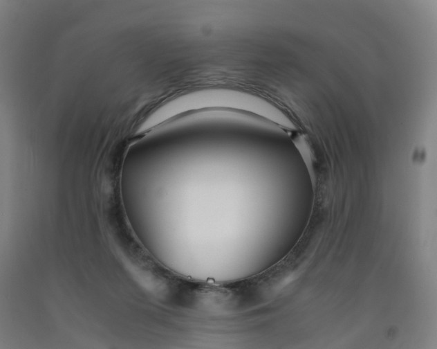 X0000091980215200709271434