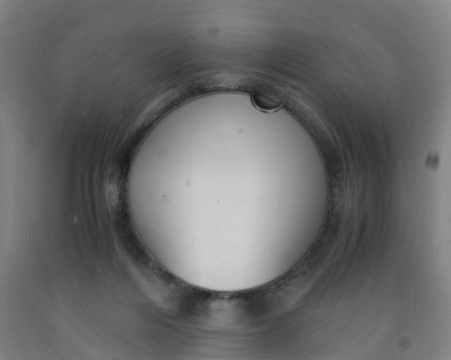 X0000091980216200709271434