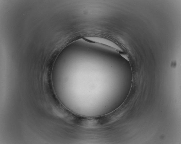X0000091980217200709271434