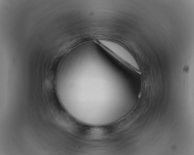 X0000091980218200709271434