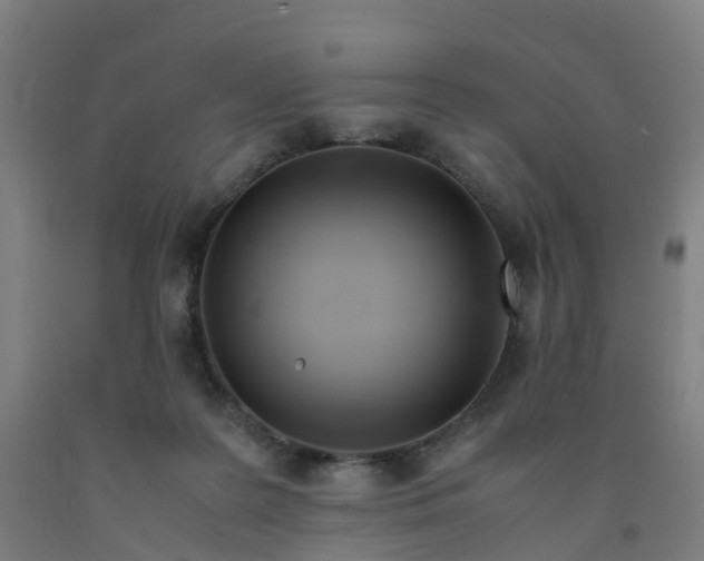 X0000091980219200709271434
