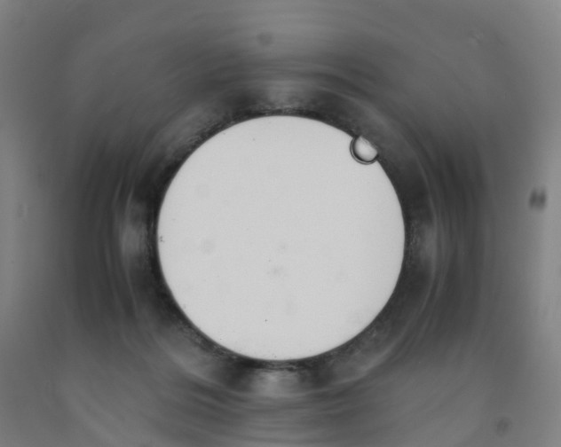 X0000091980220200709271434