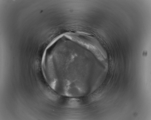 X0000091980222200709271434