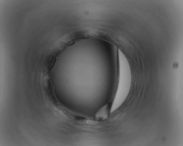 X0000091980223200709271434