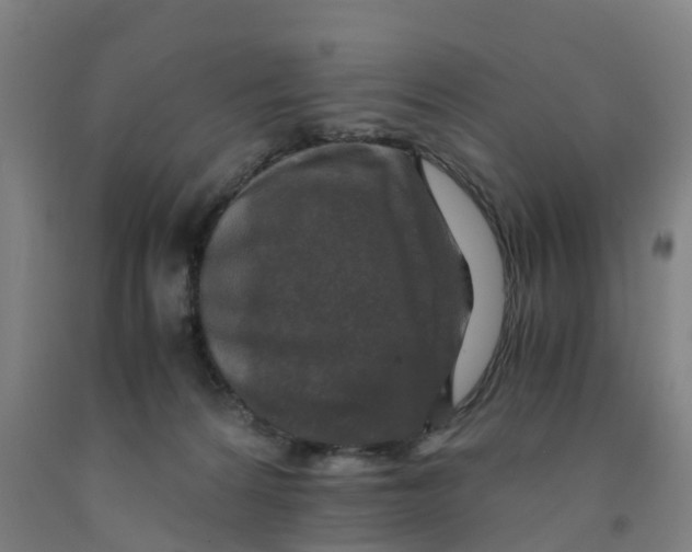 X0000091980224200709271434