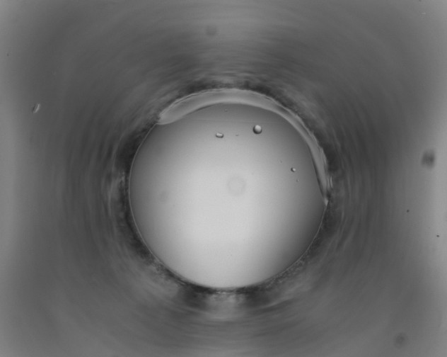 X0000091980225200709271434