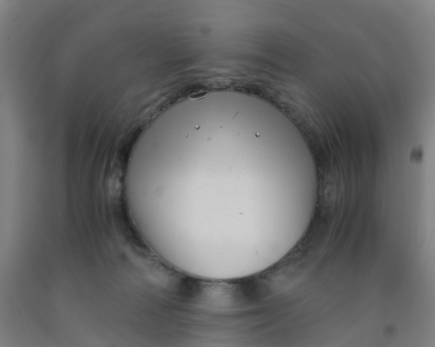 X0000091980226200709271434