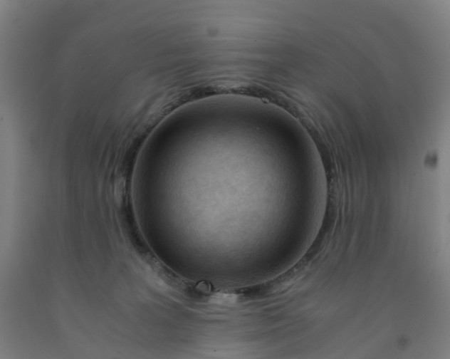 X0000091980227200709271434