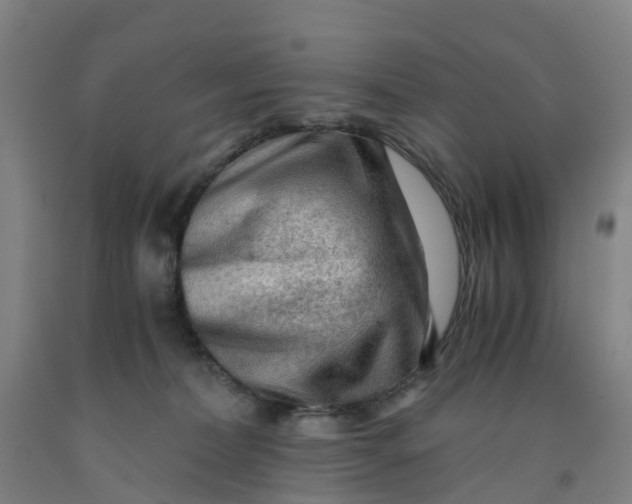 X0000091980228200709271434