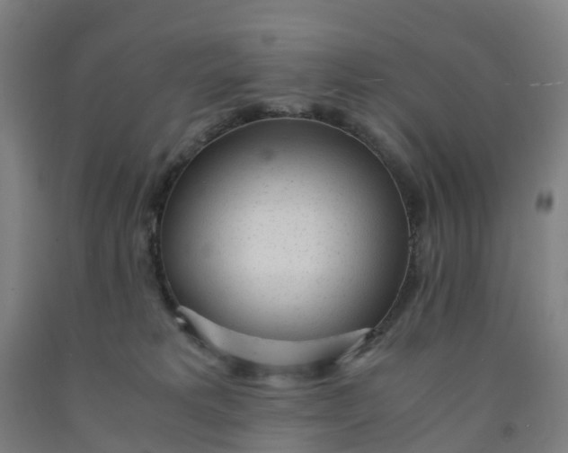 X0000091980229200709271434