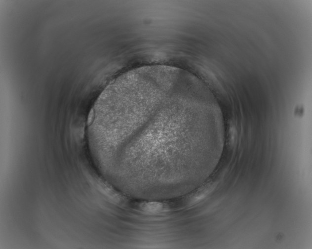 X0000091980230200709271433