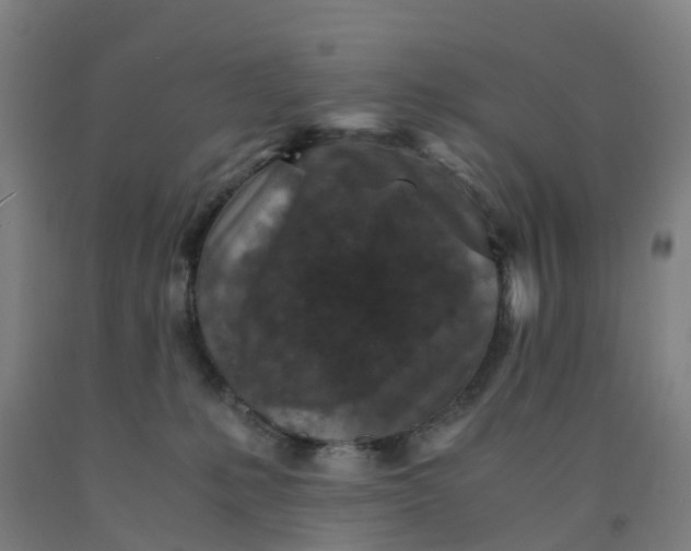 X0000091980231200709271433