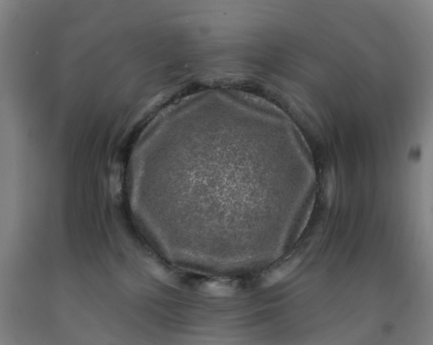 X0000091980232200709271433