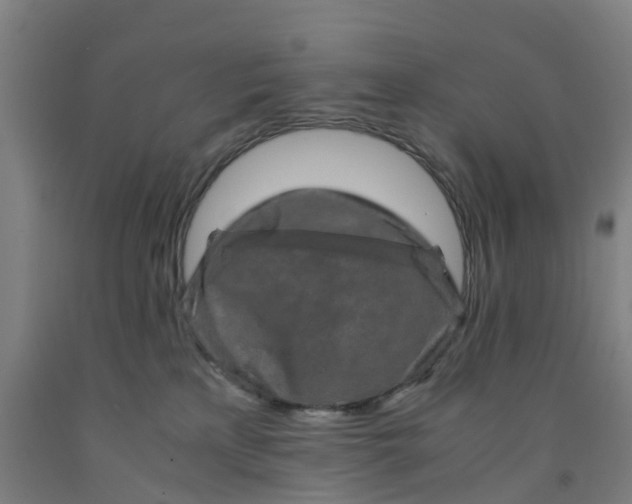 X0000091980233200709271433