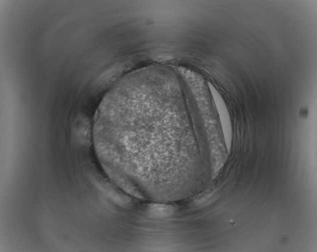 X0000091980234200709271433