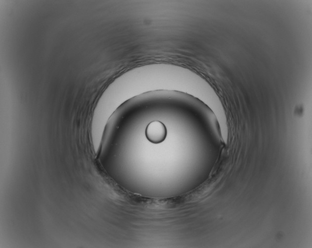 X0000091980235200709271433