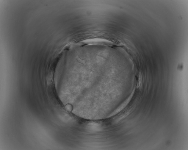 X0000091980236200709271433