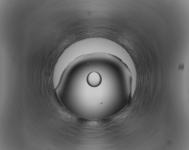 X0000091980237200709271433