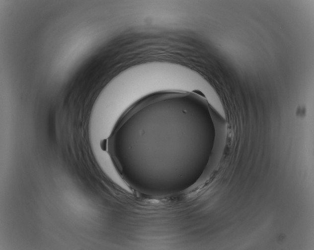 X0000091980239200709271433