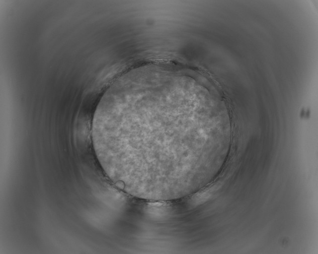 X0000091980240200709271433