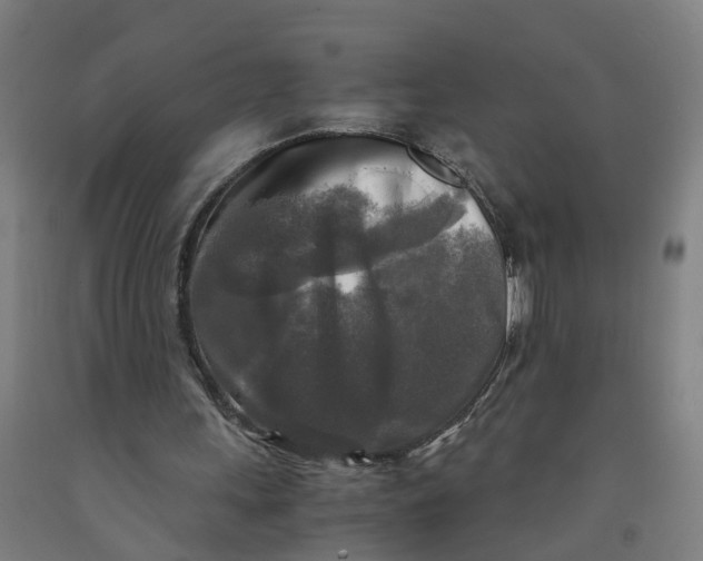 X0000091980243200709271433