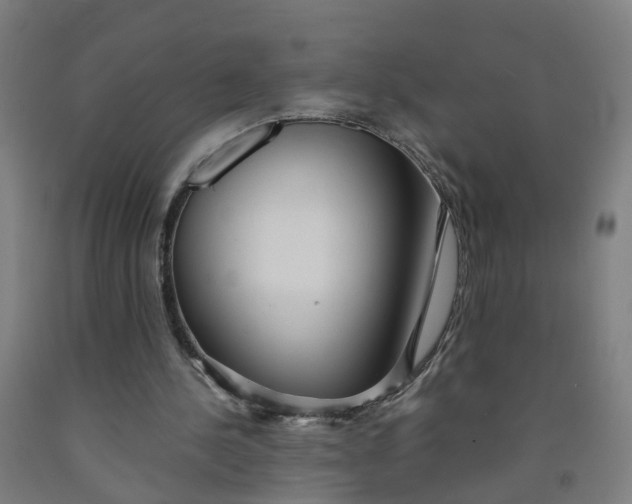 X0000091980244200709271433