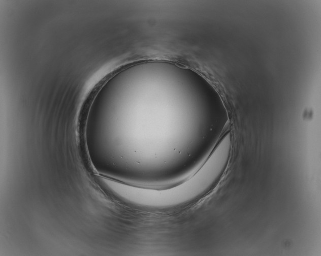 X0000091980246200709271433