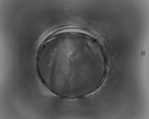 X0000091980247200709271433