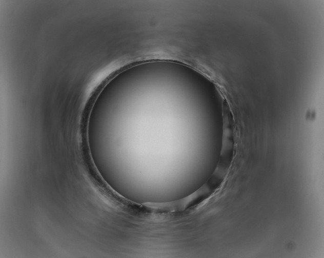 X0000091980248200709271433