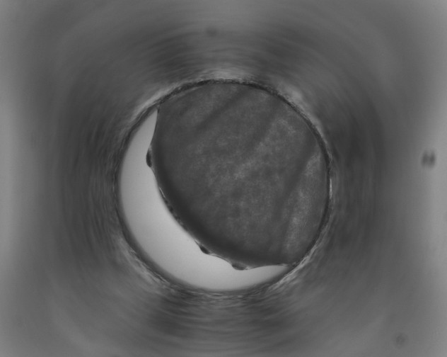 X0000091980249200709271433