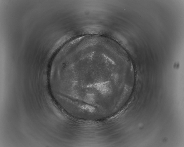 X0000091980250200709271433