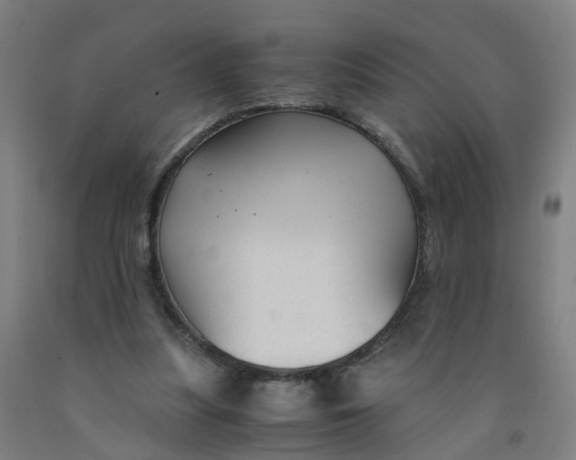 X0000091980251200709271433